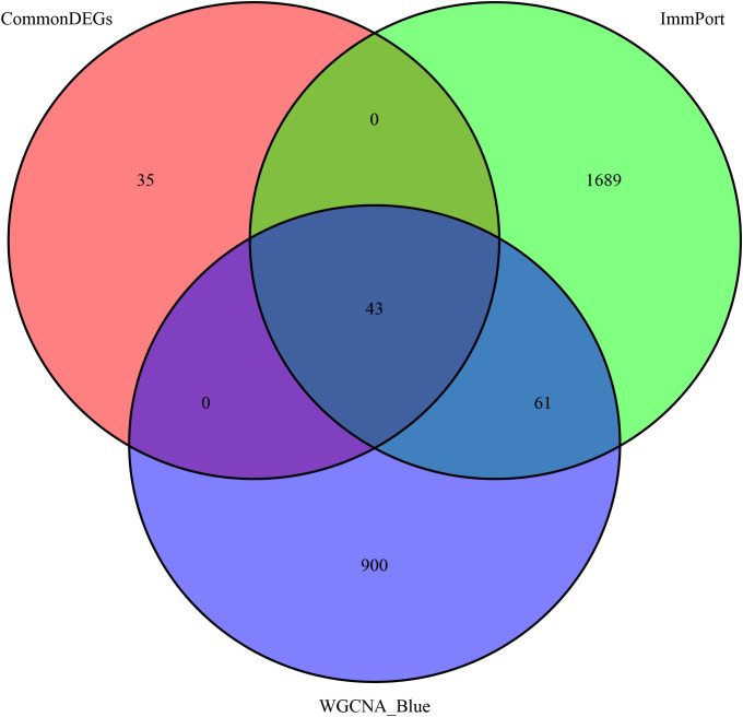 Figure 4