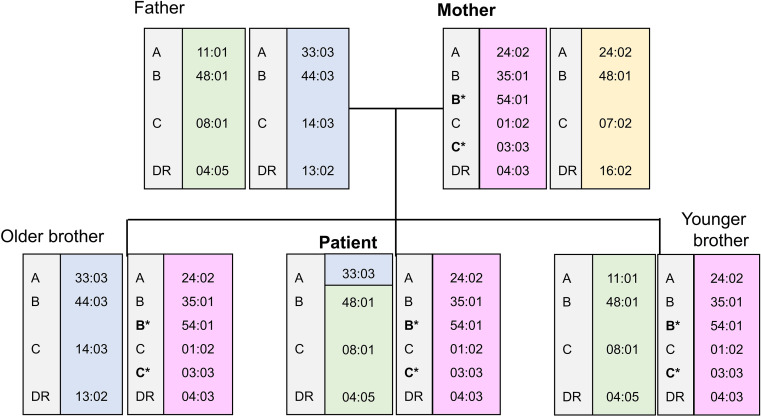 Figure 1
