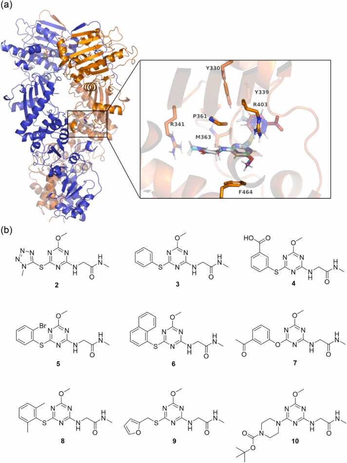 Figure 4