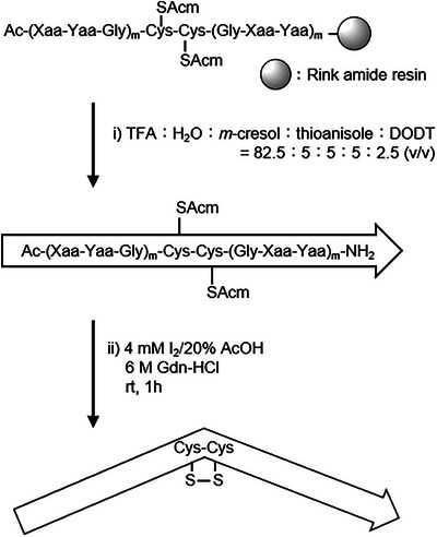 SCHEME 1