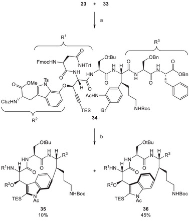 SCHEME 8