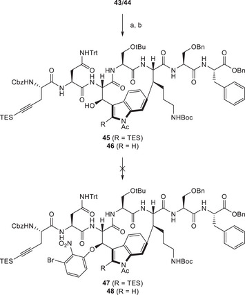 SCHEME 13