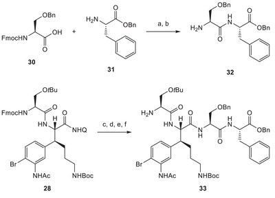 SCHEME 7