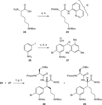 SCHEME 6