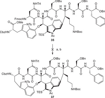 SCHEME 9
