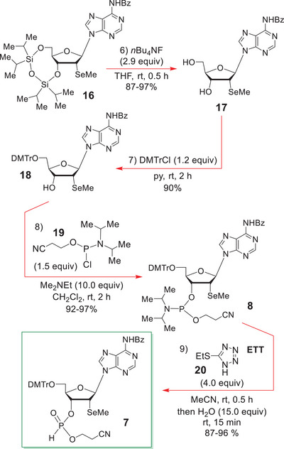 SCHEME 5