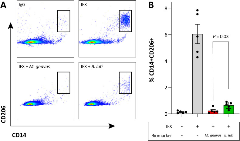 Figure 6