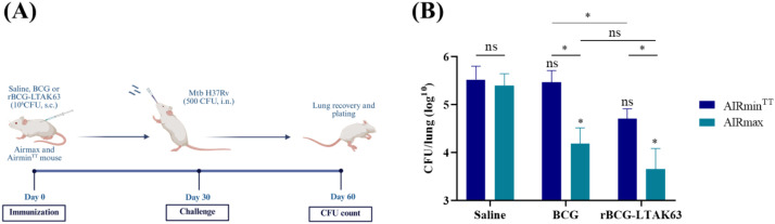 Figure 7