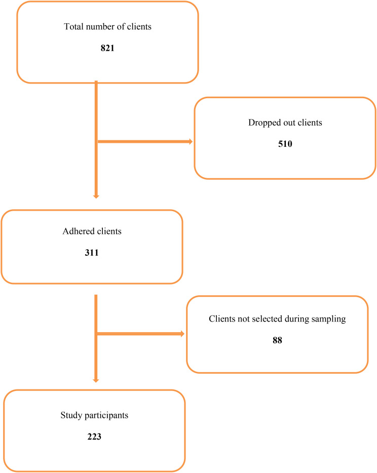 Figure 1