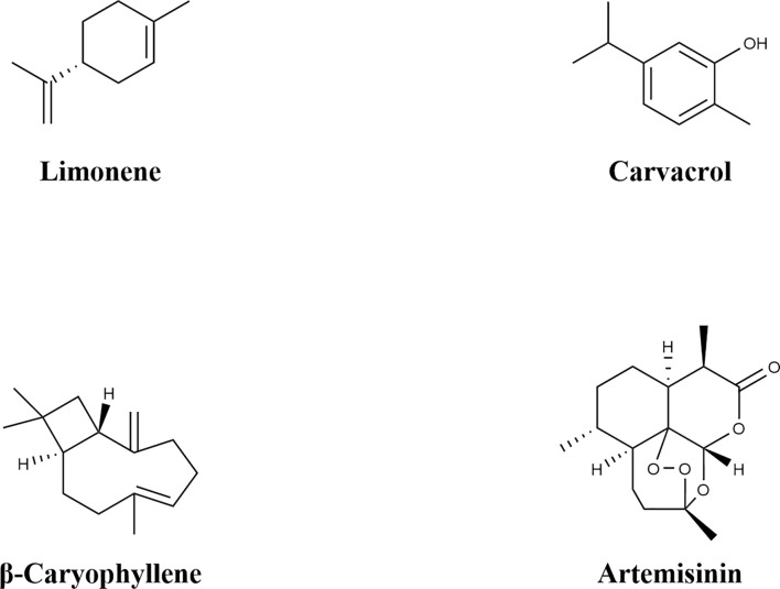 Figure 2