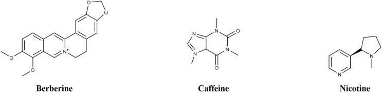 Figure 3