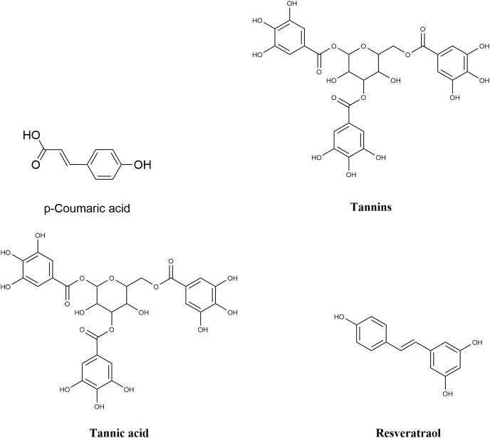 Figure 4