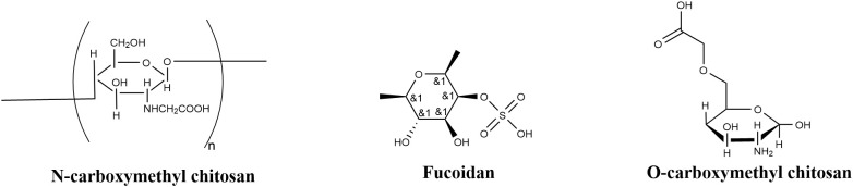 Figure 5