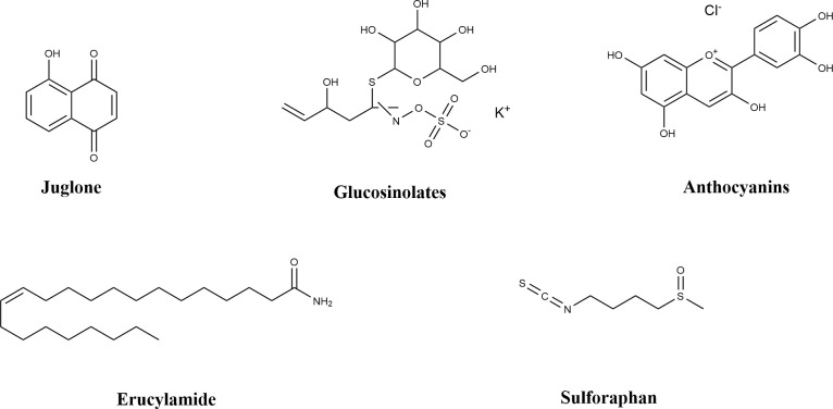 Figure 6