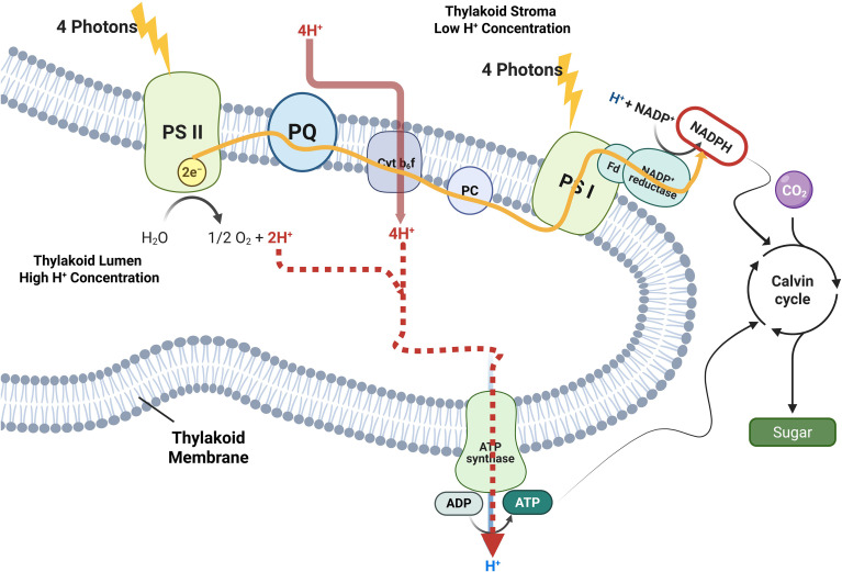 Figure 1