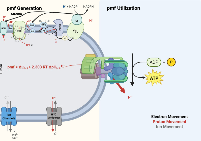 Figure 3