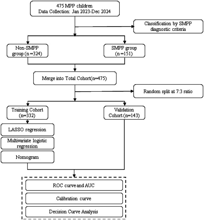 Figure 1