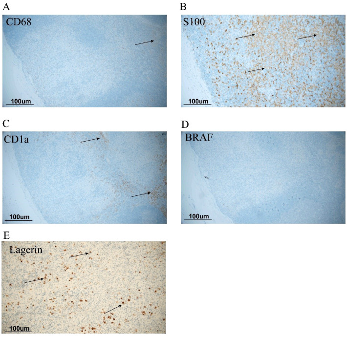Figure 2