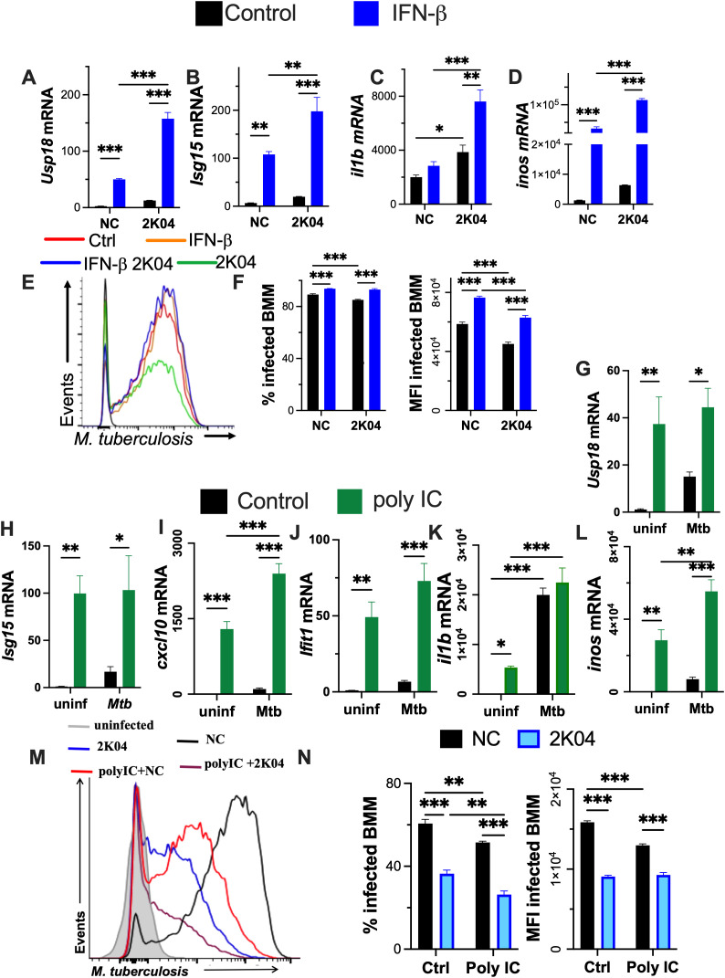 Figure 6