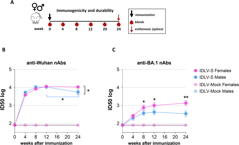 Figure 2