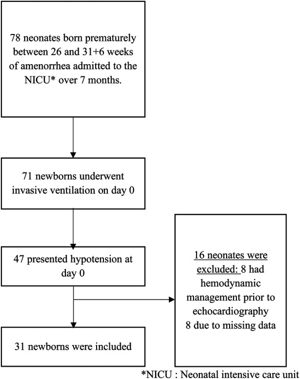 Figure 1