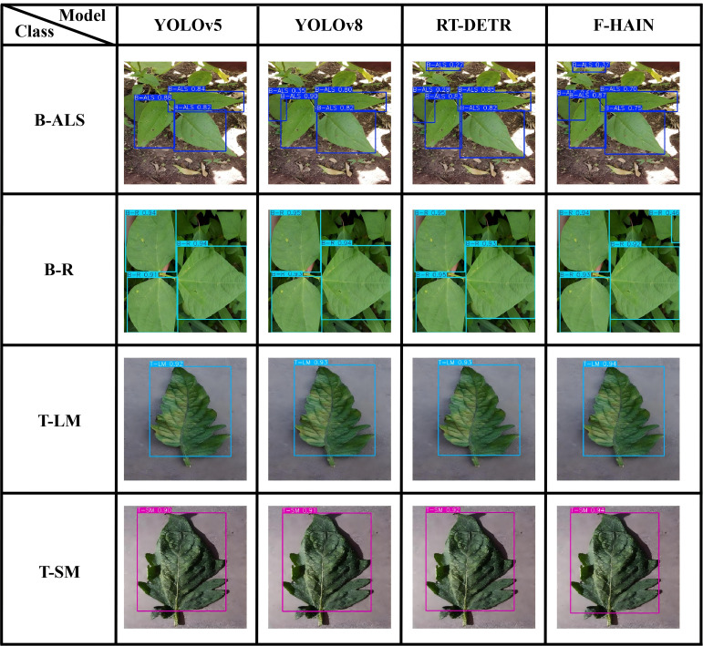 Figure 11