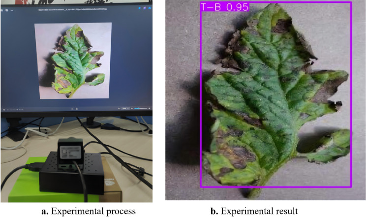 Figure 15