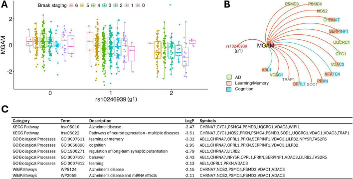 FIGURE 3