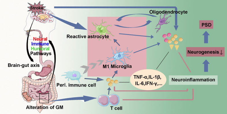 Figure 2