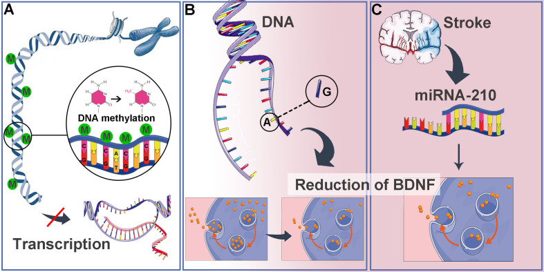 Figure 3