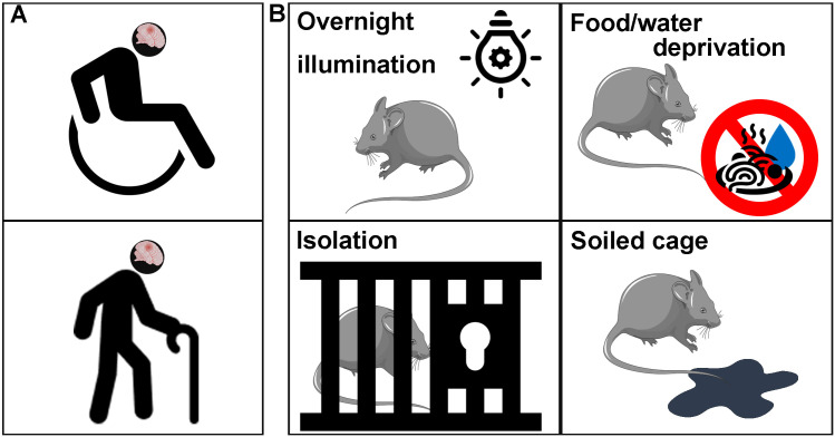 Figure 5