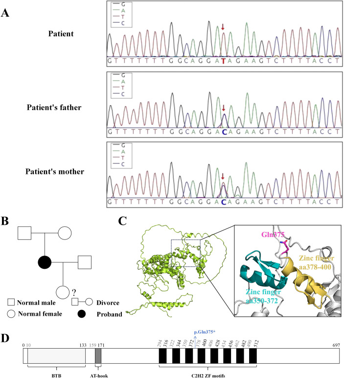 Figure 4