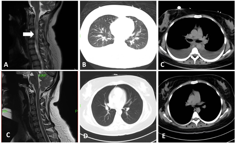 Figure 1