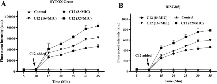 FIGURE 4
