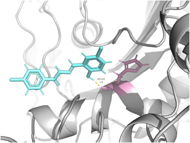 FIGURE 7