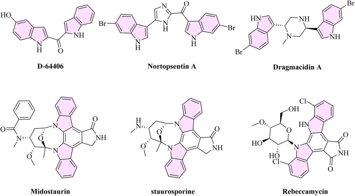 FIGURE 1