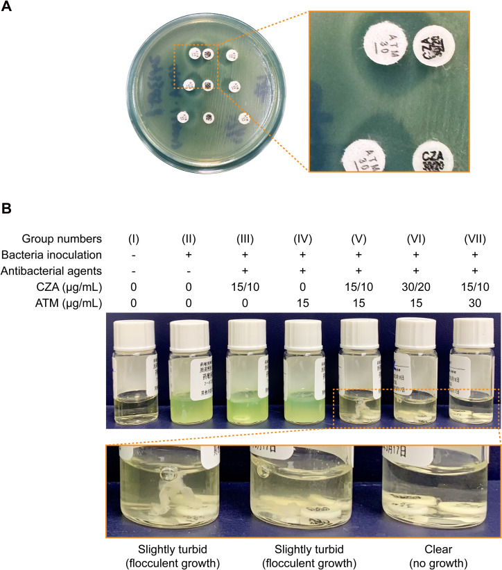 Figure 1