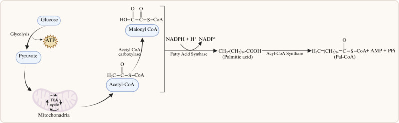 Figure 1