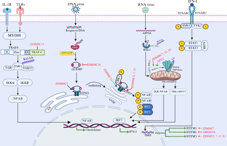 Figure 3