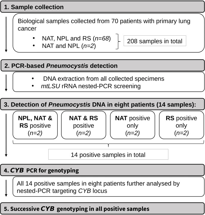 Figure 1