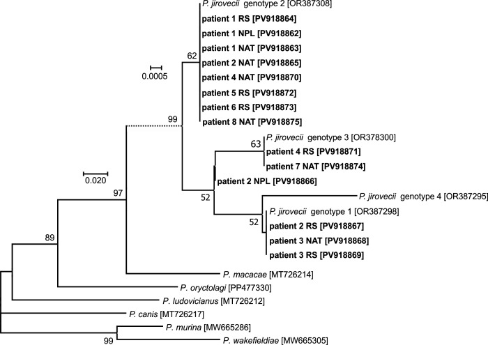 Figure 2