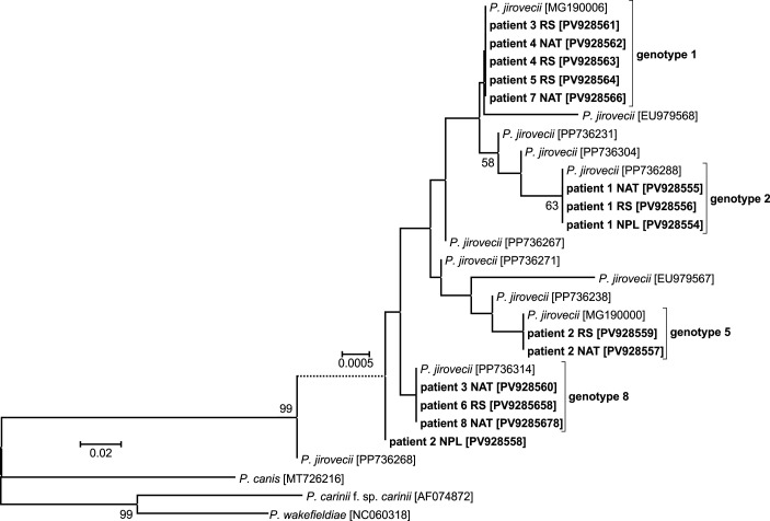Figure 3