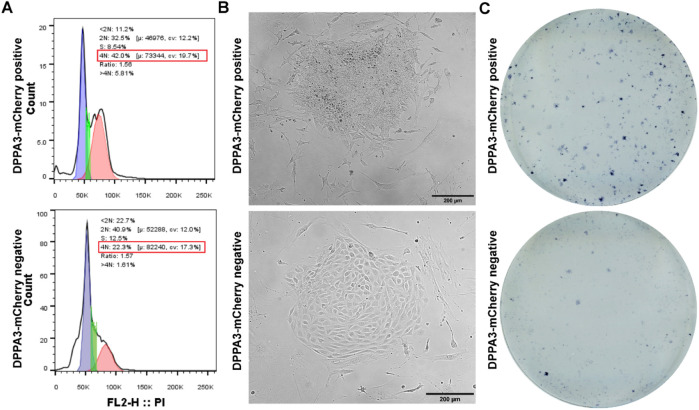 FIGURE 4