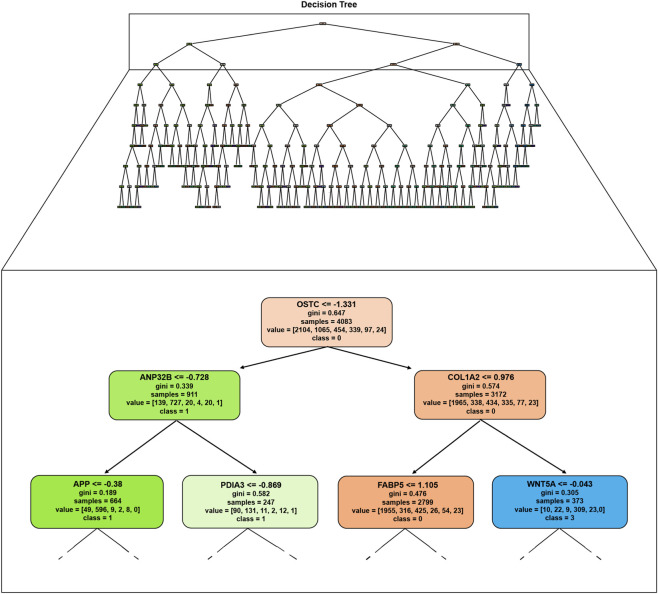 FIGURE 5