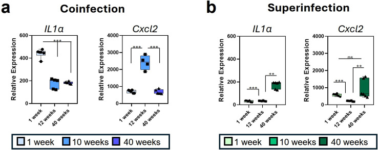 Figure 4