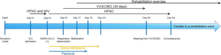 FIGURE 1