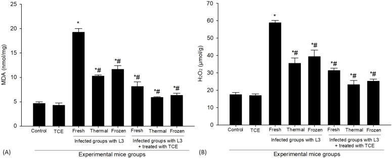 Figure 6