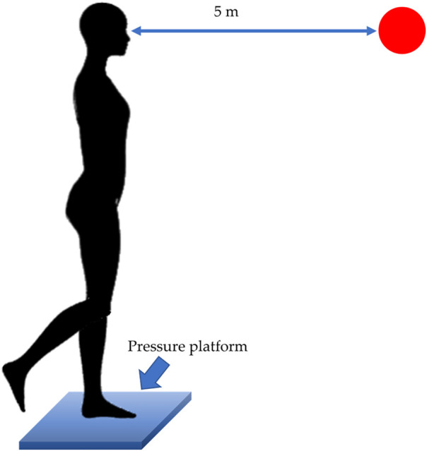 Figure 5