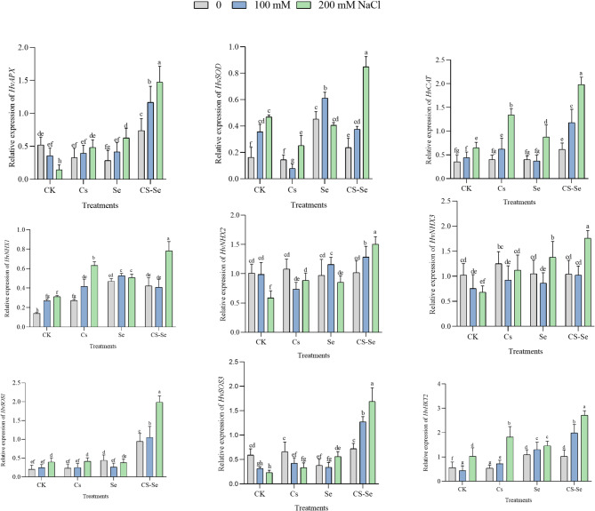 Figure 6