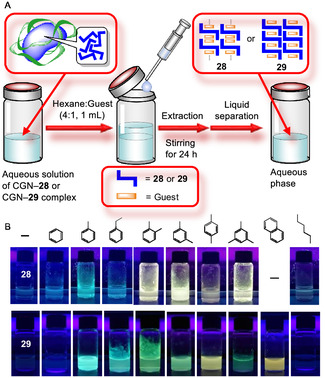 Scheme 4